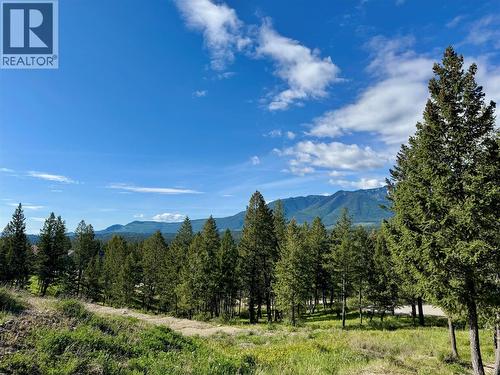 2627 Taynton Trail, Invermere, BC 
