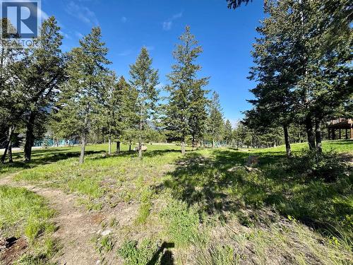 2627 Taynton Trail, Invermere, BC 
