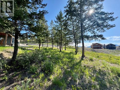 2627 Taynton Trail, Invermere, BC 