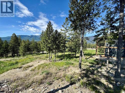 2627 Taynton Trail, Invermere, BC 