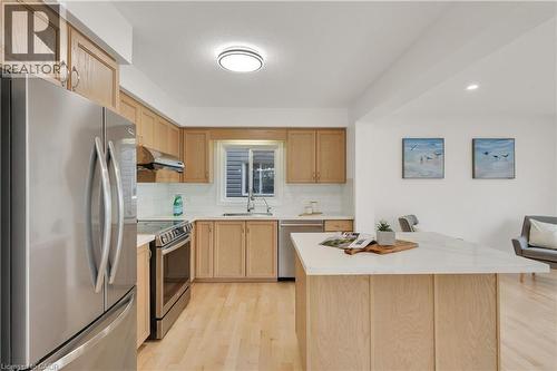 102 Iron Gate Street, Kitchener, ON - Indoor Photo Showing Kitchen