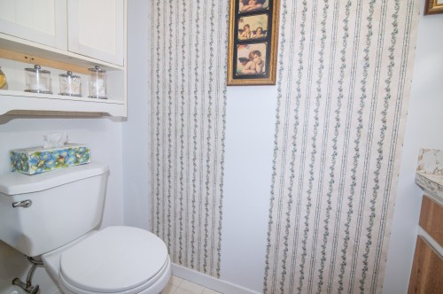Logement - 649  - 651 Av. Langlais, Saint-Pascal, QC - Indoor Photo Showing Bathroom