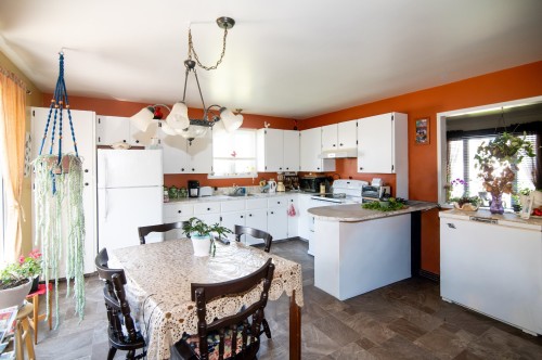 Logement - 649  - 651 Av. Langlais, Saint-Pascal, QC - Indoor