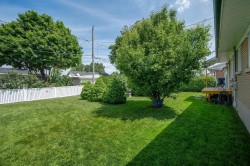 Courtyard - 