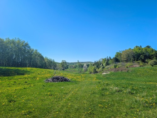 Vue d'ensemble - 40 Route 321 S., Saint-André-Avellin, QC 