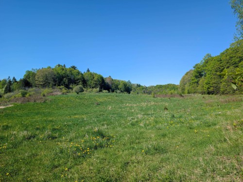 Vue d'ensemble - 40 Route 321 S., Saint-André-Avellin, QC 
