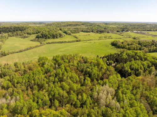 Terre à bois - 40 Route 321 S., Saint-André-Avellin, QC 