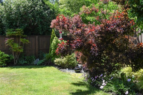 #1-2030 Wallace Ave, Comox, BC 
