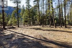 Lot B Trepanier Road Peachland, BC V0H 1X3