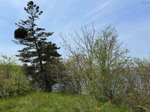 Lot 1-A Ns  101 Highway, Barton, NS 