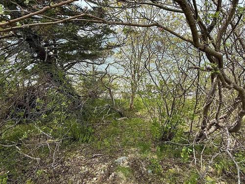 Lot 1-A Ns  101 Highway, Barton, NS 