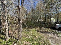 20 VALE Street North Sydney, NS B2A 1G9