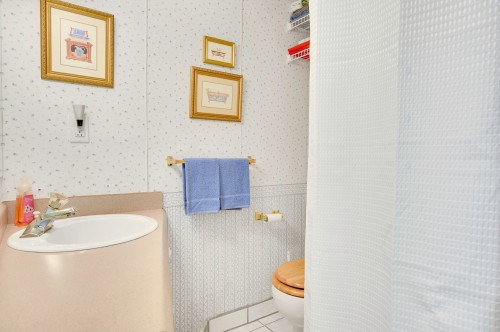 Salle de bains - 7405 Ch. Du Lac-Pilon, Sainte-Adèle, QC - Indoor Photo Showing Bathroom