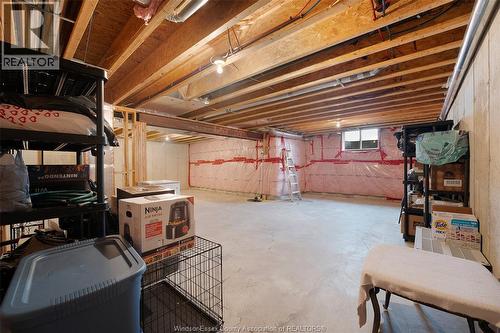 1808 Cypress, Windsor, ON - Indoor Photo Showing Basement