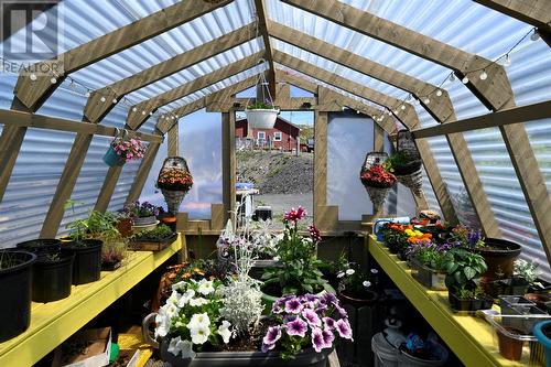 inside Greenhouse - 8, 8A, 10 Main Street, Twillingate, NL 
