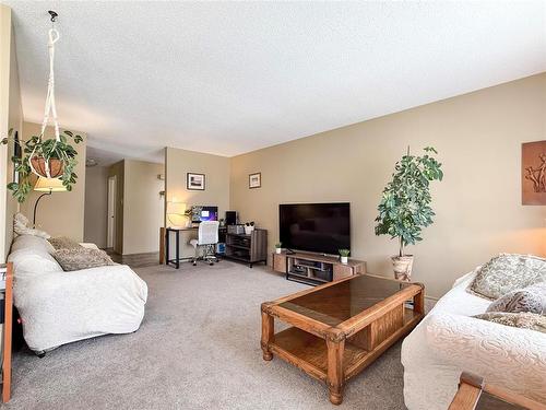 28 Magnacca Crescent, Brandon, MB - Indoor Photo Showing Living Room