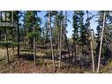 3281 Hall Road, Kelowna, BC  - Outdoor With View 