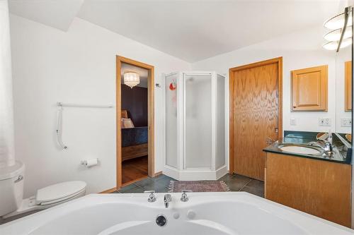 222 Carson Park Drive, Lorette, MB - Indoor Photo Showing Bathroom