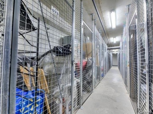 Storage - 802-1900 Rue Émile-Martineau, Laval (Laval-Des-Rapides), QC - Indoor With Storage