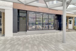 6299  - 6301 Rue St-Hubert Montréal (Rosemont/La Petite-Patrie), QC H2S 2L9