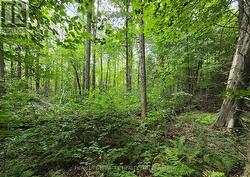 000 CEDAR SANDS ROAD Rideau Lakes, ON K0E 1N0