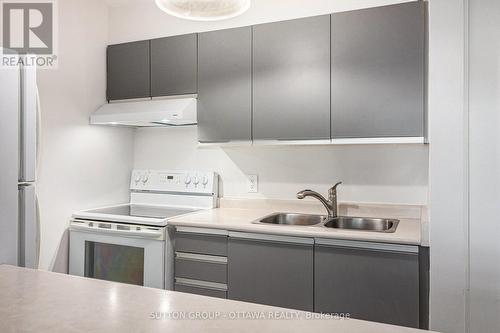 314 - 270 Brittany Drive, Ottawa, ON - Indoor Photo Showing Kitchen With Double Sink