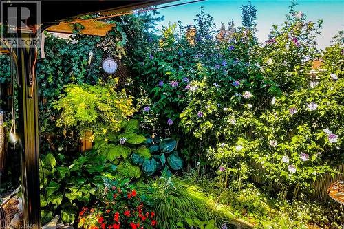 Lush garden space featuring vibrant foliage and blooming plants - 146 Locheed Drive, Hamilton, ON - Outdoor