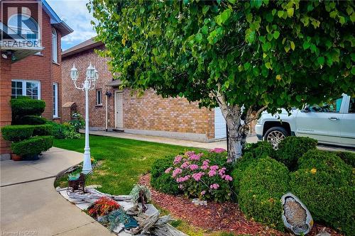 Manicured front yard featuring a white multi-fixture lamppost, mature birch tree, established shrubbery, and diverse plantings - 146 Locheed Drive, Hamilton, ON - Outdoor