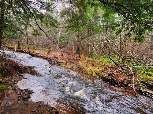 V/L 368 Highway, Wentworth, NS 