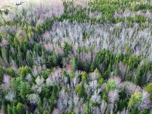 V/L 368 Highway, Wentworth, NS 