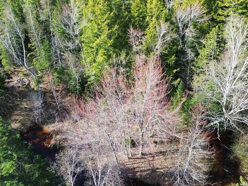 V/L 368 Highway, Wentworth, NS 