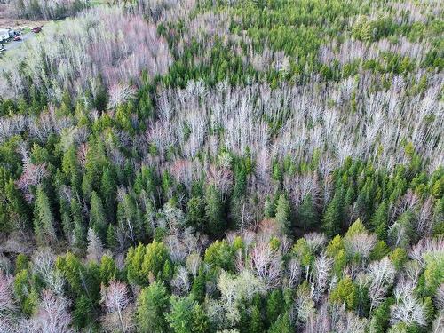 V/L 368 Highway, Wentworth, NS 