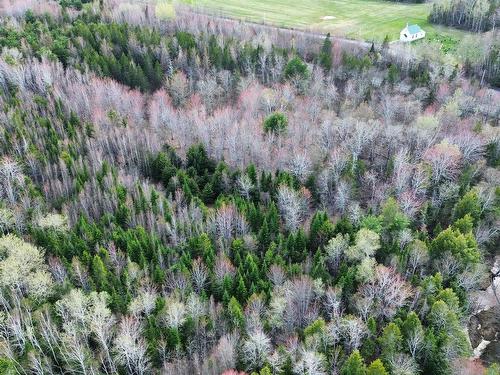 V/L 368 Highway, Wentworth, NS 