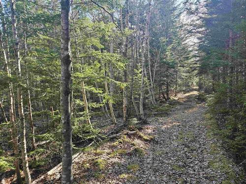 V/L 368 Highway, Wentworth, NS 