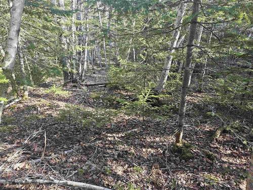 V/L 368 Highway, Wentworth, NS 