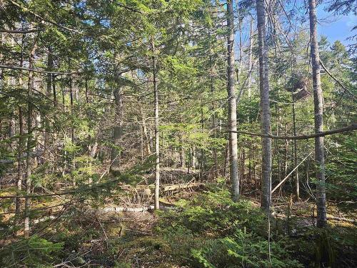 V/L 368 Highway, Wentworth, NS 