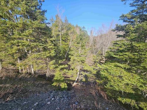 V/L 368 Highway, Wentworth, NS 