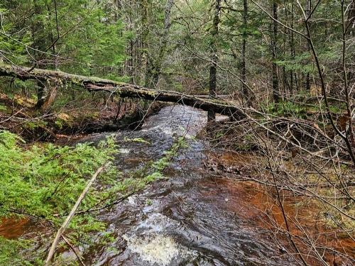 V/L 368 Highway, Wentworth, NS 