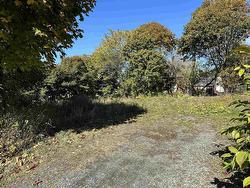 Lot 38 High Street  Trenton, NS B0K 1X0