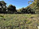 Lot 38 High Street, Trenton, NS 