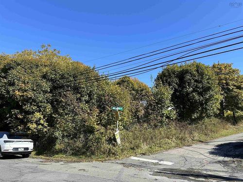 Lot 38 High Street, Trenton, NS 
