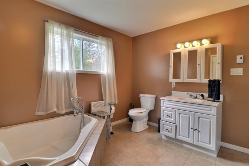 Salle de bains - 257 Ch. Du Chevreuil-Blanc, Bowman, QC - Indoor Photo Showing Bathroom