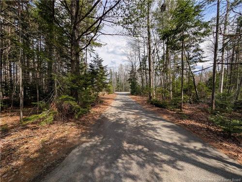 161 Chemin Alphonse, Petit-Rocher, NB 