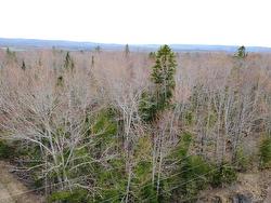 ~2 Arce Lot Black River Road  Meadowville, NS B0K 1R0