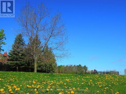 1763 Willow Way, Mississauga, ON - Outdoor With View