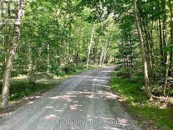 Driveway - 