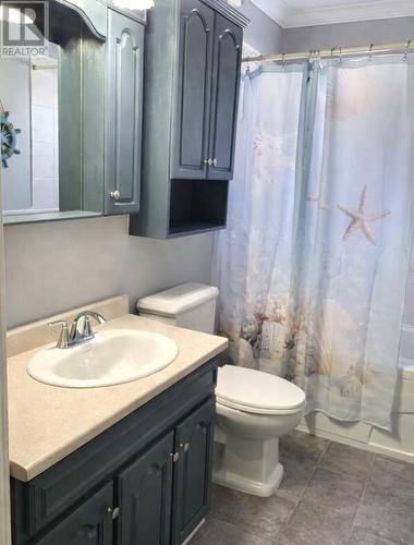 240 Main Street, Springdale, NL - Indoor Photo Showing Bathroom
