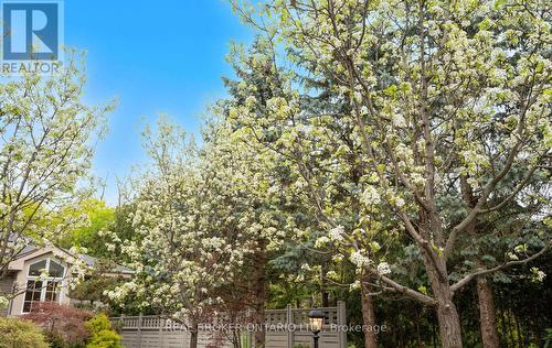 37 Lorraine Gardens, Toronto, ON - Outdoor
