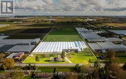 3036 SEACLIFF DRIVE Kingsville, ON N9Y 2N5