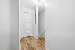 Basement - 